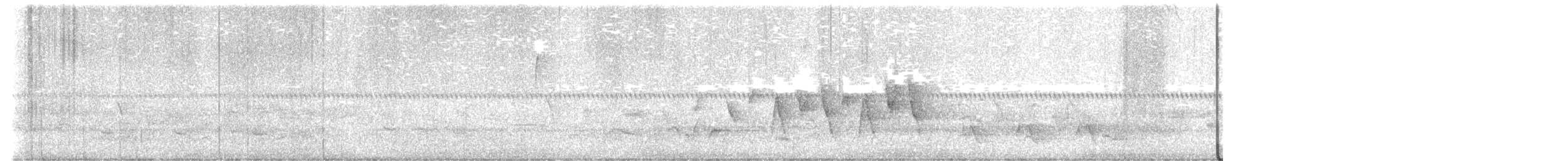 Connecticut Warbler - ML635818972