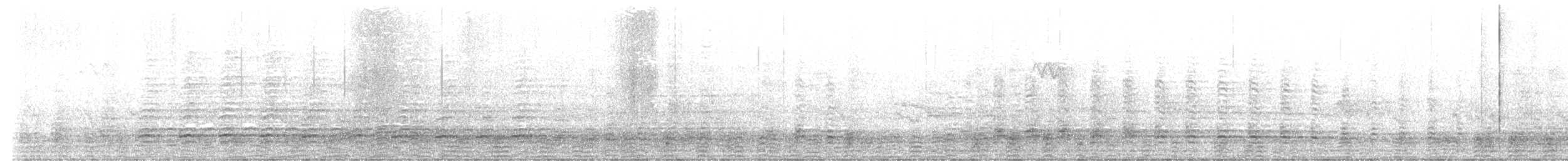 Ibis à face noire - ML635819328