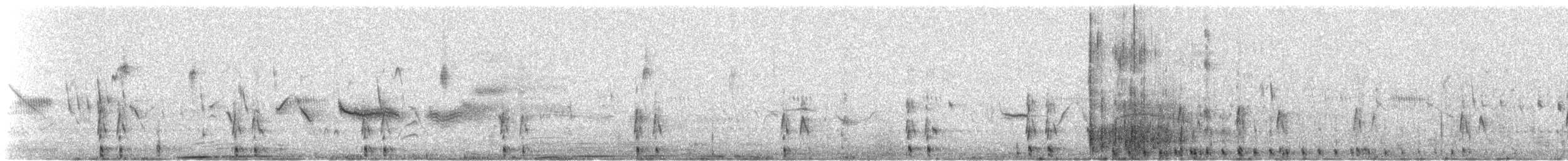 Red Shoveler - ML635821187