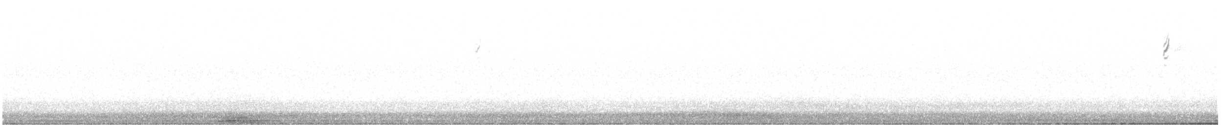 Orange-crowned Warbler (Gray-headed) - ML635821600
