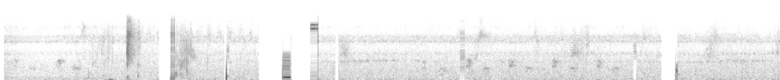 Jet Antbird - ML635823653