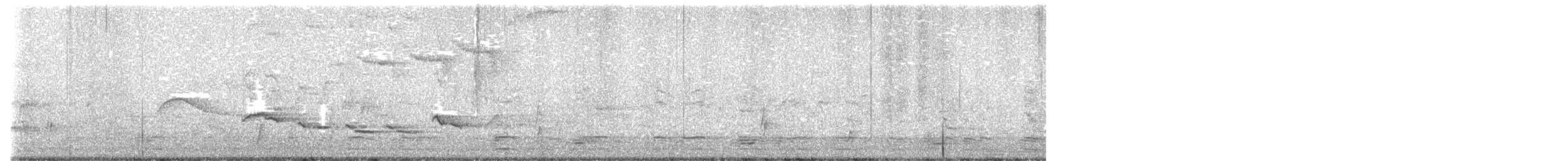 Swainson's Thrush - ML635823976
