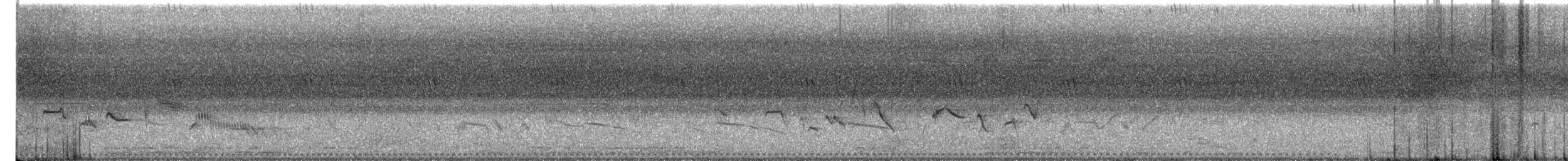 Barred Buttonquail - ML635824037