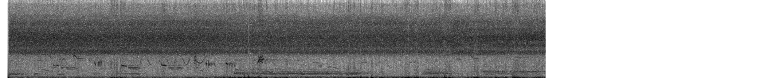 bird sp. - ML635824127