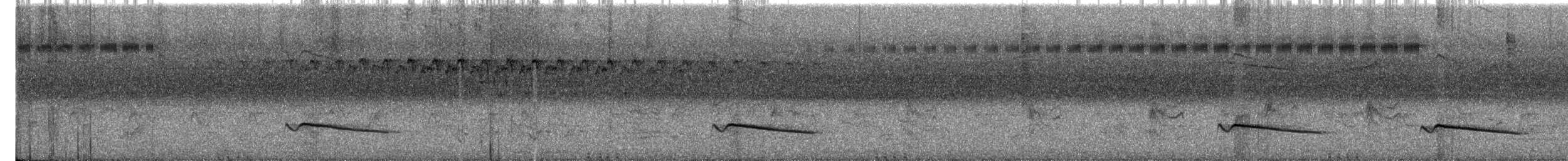 Gray-bellied Cuckoo - ML635824293