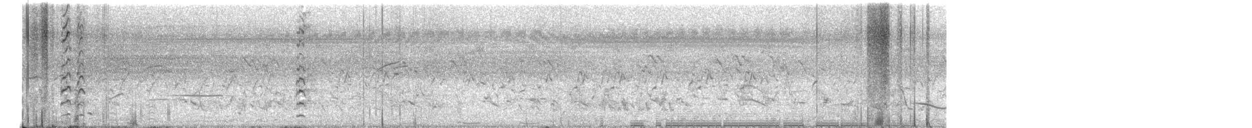 Black-tailed Godwit - ML635825677