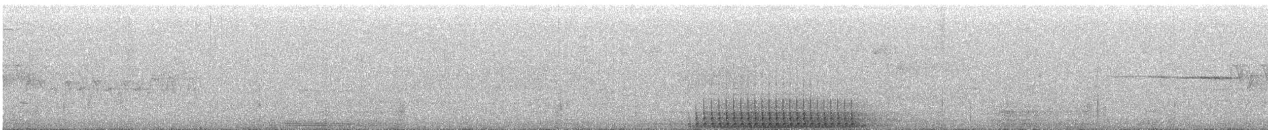 Black-backed Woodpecker - ML635826239