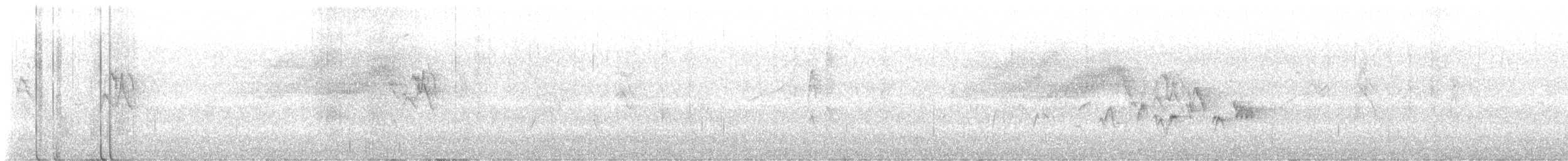 Western Warbling Vireo - ML635828576