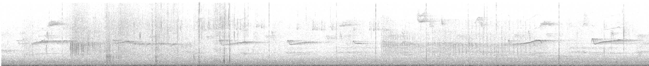 Belted Kingfisher - ML635828800