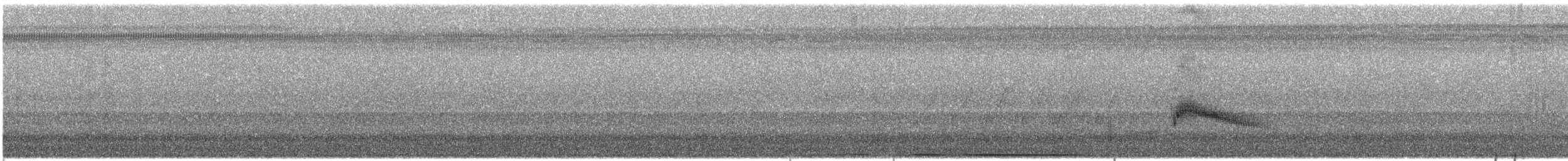 Couch's Kingbird - ML635829234