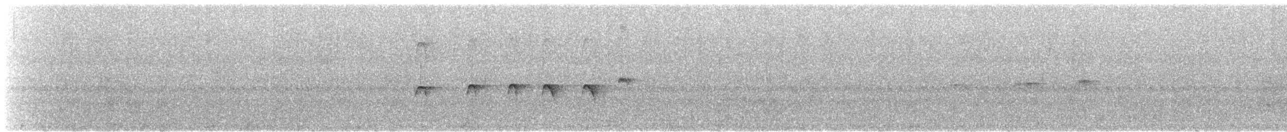 Magdalena Antbird - ML635829468