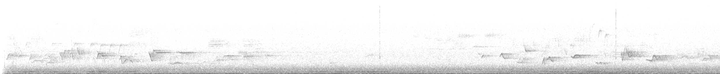 ネズミメジロハエトリ - ML635829827