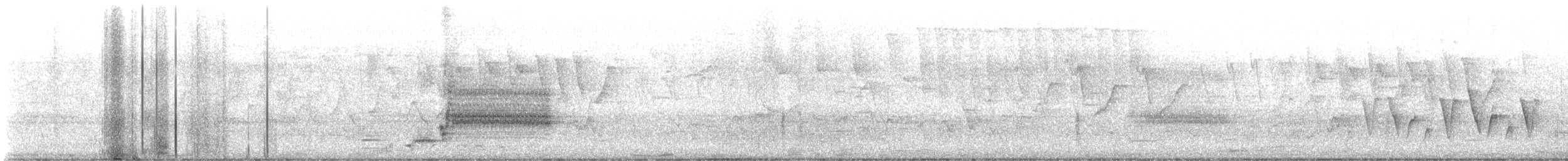 Connecticut Warbler - ML635834618