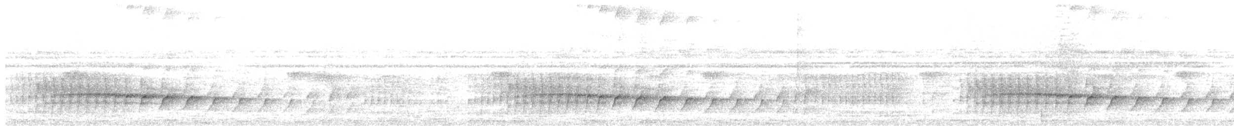 Black-tailed Leaftosser - ML635835189