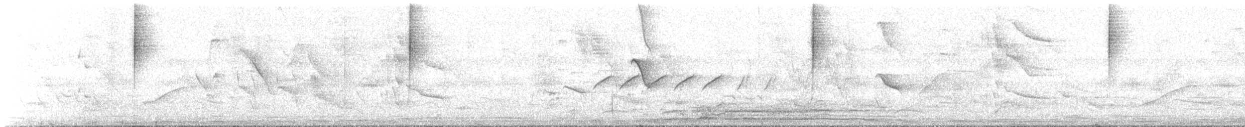 Blue-black Grassquit - ML635837623