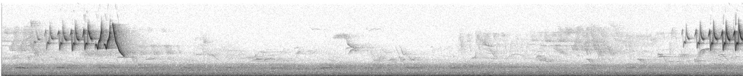 Chestnut-sided Warbler - ML635838326