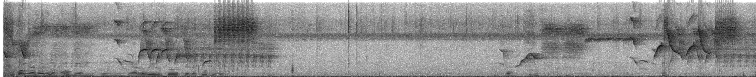 Zapata Wren - ML635839174