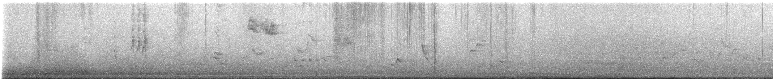 Warbling Vireo - ML635839848