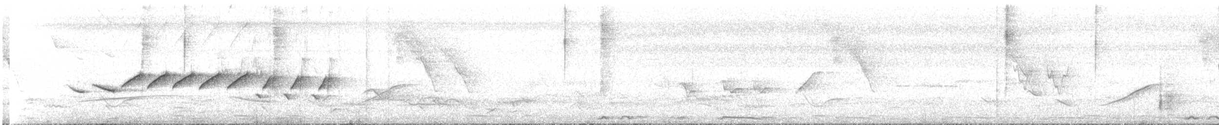 Morelet's Seedeater - ML635844067