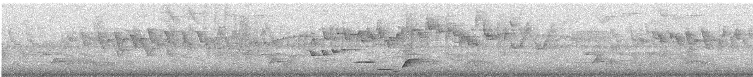 ノドジロコタイランチョウ - ML635846473