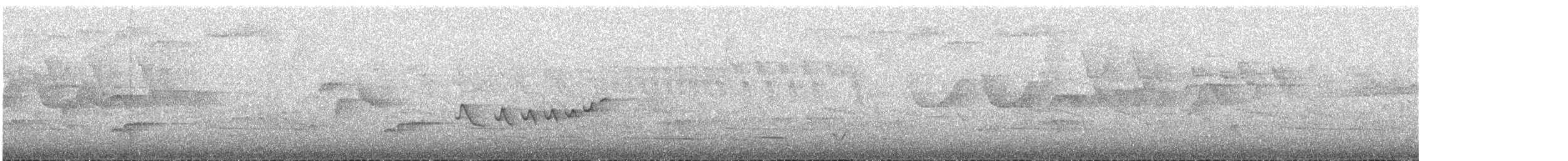 Choco Tyrannulet - ML635846684