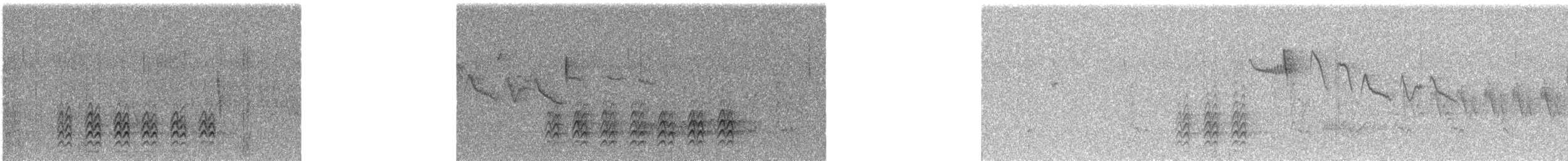 White-breasted Nuthatch - ML635847042