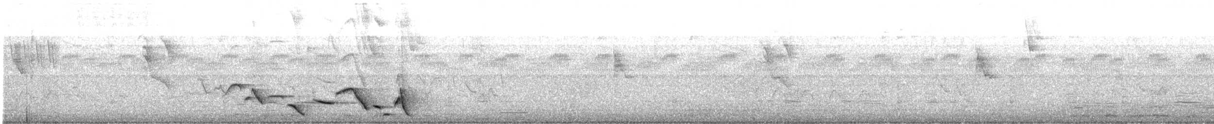 Whiskered Wren - ML635847523