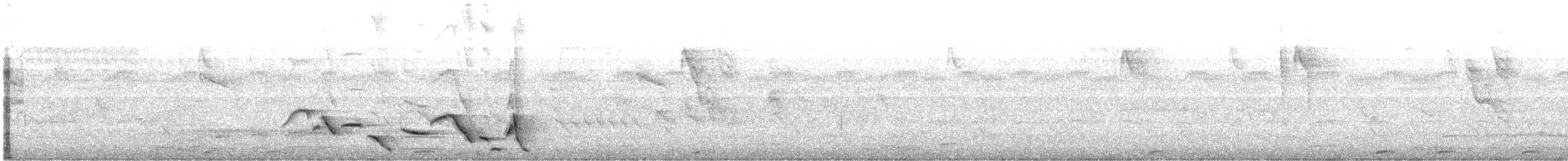 Whiskered Wren - ML635847557