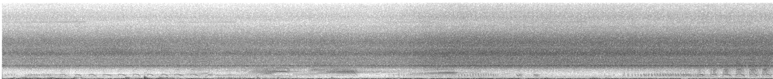 Channel-billed Cuckoo - ML635849191