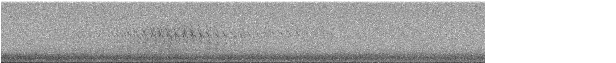 Stockente - ML635849834