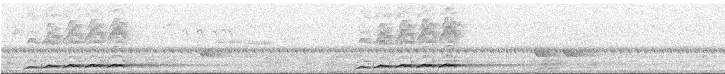 Pacific Koel - ML635849971