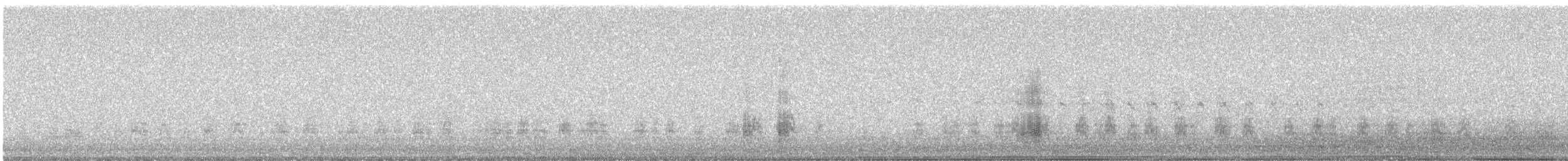 Stockente - ML635850100