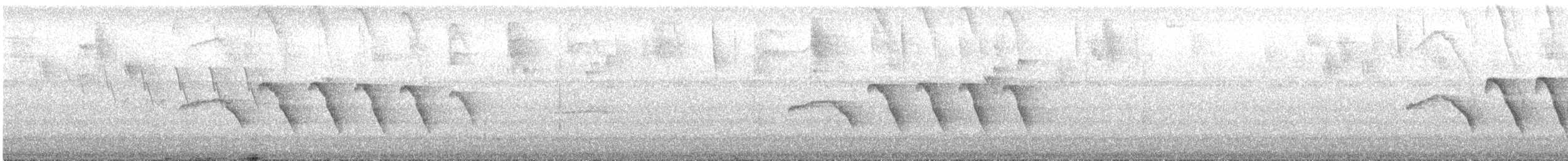 Russet Antshrike - ML635850408
