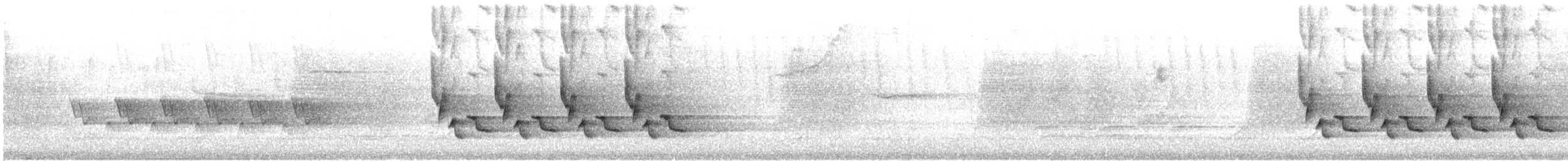 Carolina Wren - ML635851507