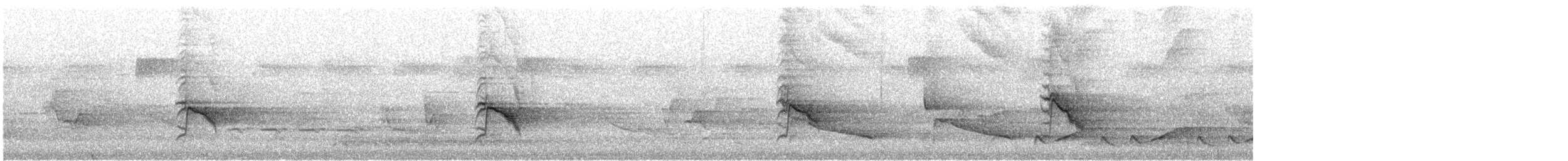 Gray-cheeked Thrush - ML635851523