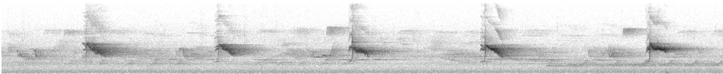 Gray-cheeked Thrush - ML635851524