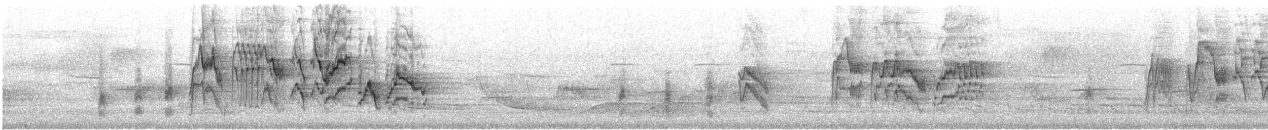 Gray-cheeked Thrush - ML635851525