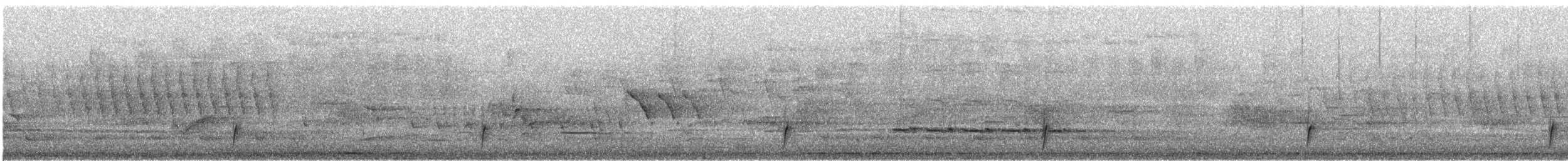 Swainson's Thrush - ML635851537