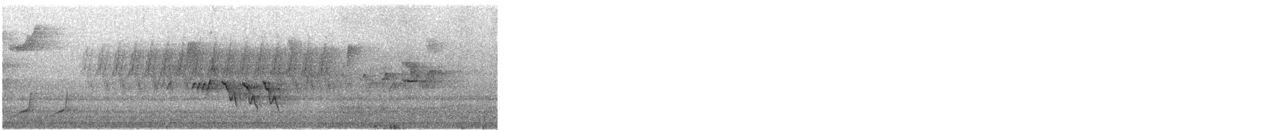 Mourning Warbler - ML635851610