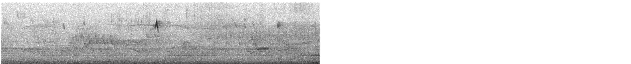 Cape May Warbler - ML635851675