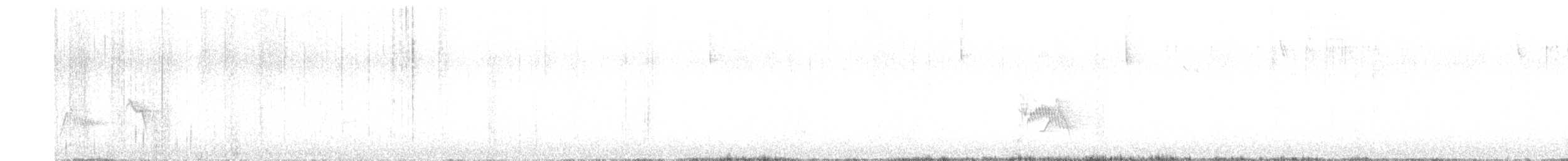 Plumbeous Vireo - ML635855321