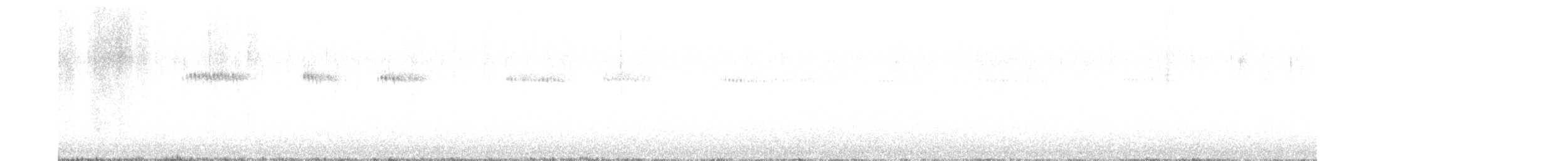 Broad-tailed Hummingbird - ML635856466