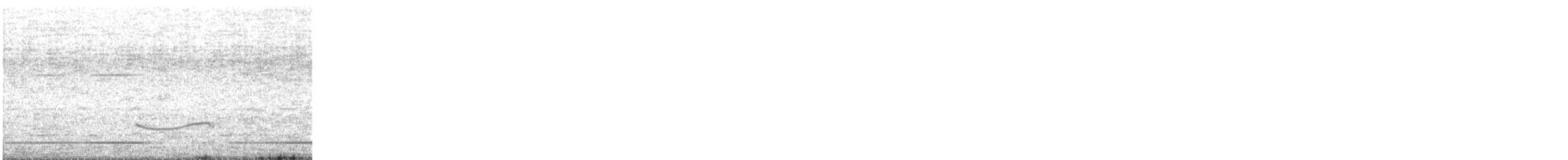 Black-bellied Plover - ML635859114