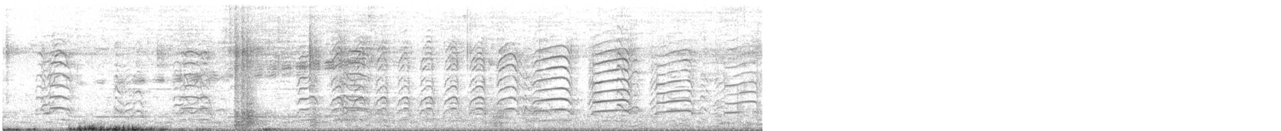 Laughing Gull - ML635859153