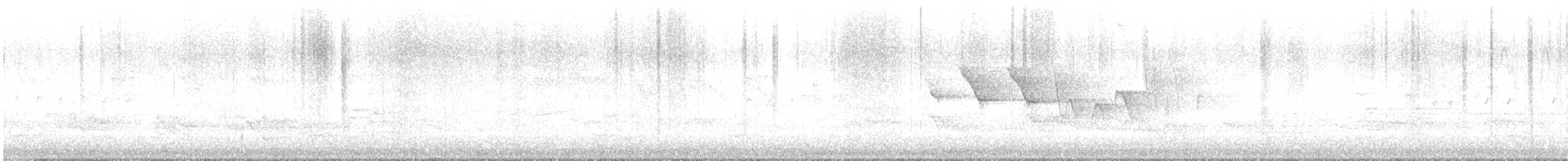 Louisiana Waterthrush - ML635866817