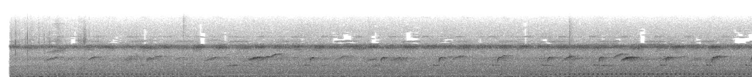 Puerto Rican Owl - ML635866902