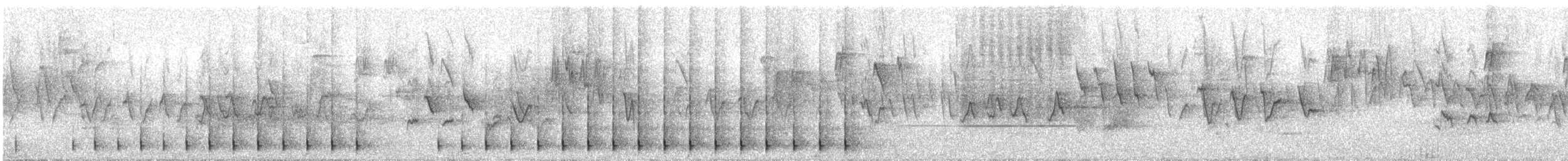 Gray-capped Pygmy Woodpecker - ML635867849
