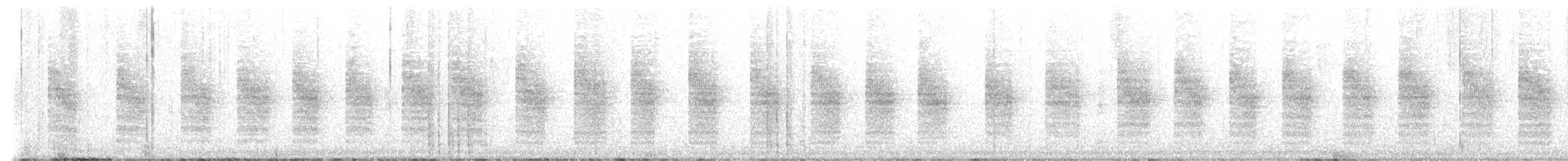 Ak Karınlı Çıtkuşu [leucogastra grubu] - ML635868031