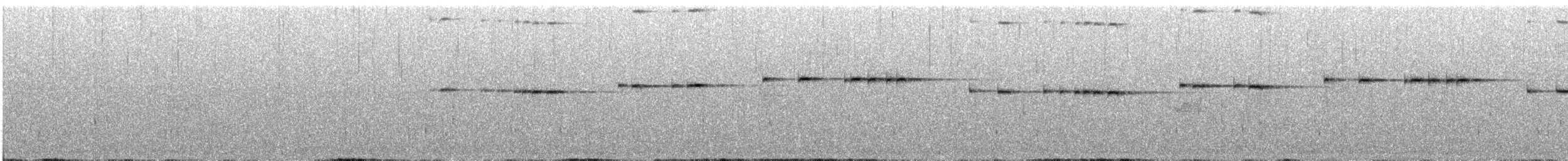 Spotted Elachura - ML635868382