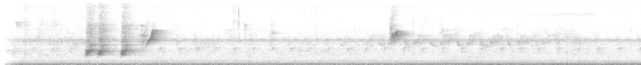 Racket-tailed Treepie - ML635869081